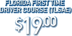 Florida First time driver Course